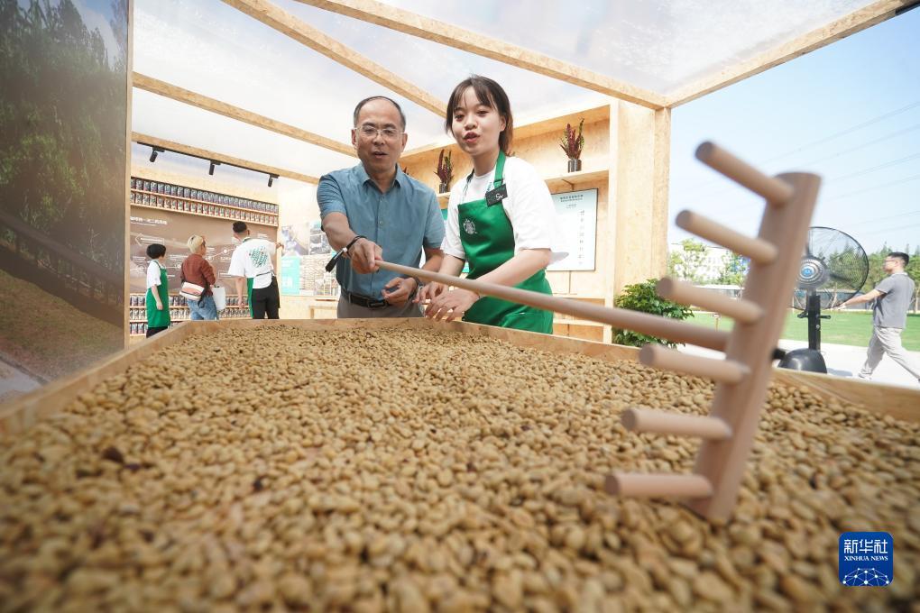 问鼎app官网下载