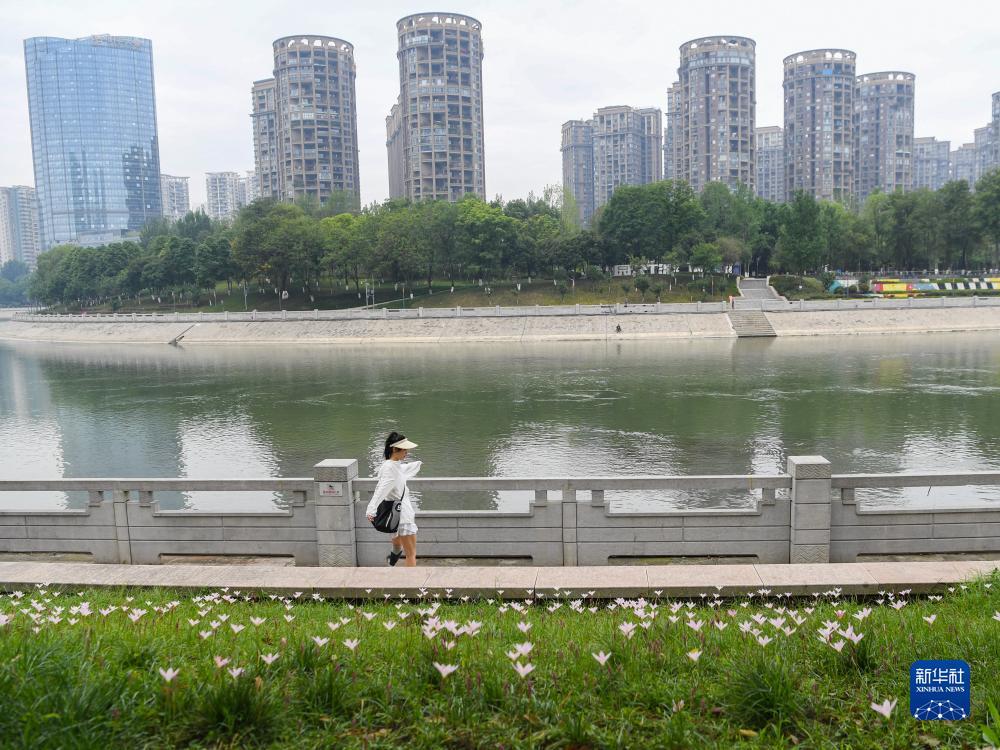 新普京集团网址